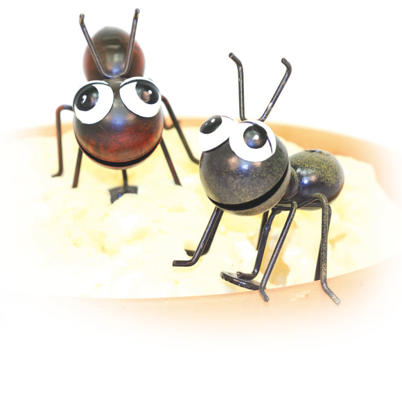 Ant Magnets (2)