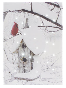 Light Up Tabletop Canvas Art, Cardinal with Birdhouse 6x8 IN