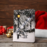 Table-top canvas picture with LED & optical fiber Christmas gift