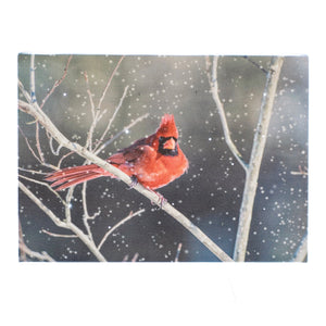 LED Canvas Art Tabletop Decor, Cardinal's Watchful Eye 6x8 IN