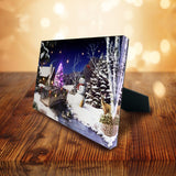 Table-top canvas picture with LED & optical fiber，best  Christmas gift