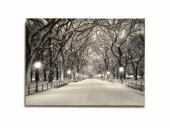 LED Lighted Canvas Wall Art, Home Decor Light up Picture with Timer,  SNOWY PATH