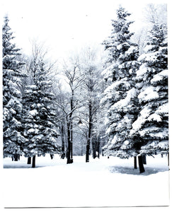 Large LED Lighted Canvas Wall Art, Home Decor Light up Picture with Timer,  WINTER FOREST SCENE