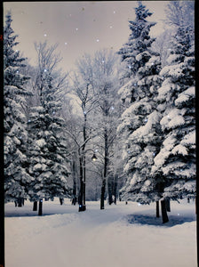 LED Tabletop Canvas Art 8"x6" Wall Decor Light up Picture 6H Timer, WINTER FOREST