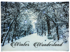 LED Tabletop Canvas Art 8"x6" Wall Decor Light up Picture 6H Timer, WINTER WONDERLAND