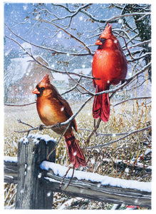 LED Tabletop Canvas Art 8"x6" Wall Decor Light up Picture 6H Timer, CARDINALS NEAR FENCE