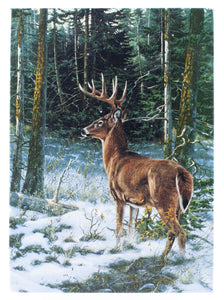 LED Tabletop Canvas Art 8"x6" Wall Decor Light up Picture 6H Timer, DANIEL THE DEER