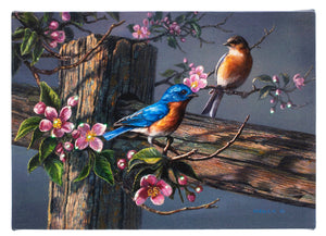 LED Tabletop Canvas Art 8"x6" Wall Decor Light up Picture 6H Timer, WOODEN PILE with TWO BIRDS