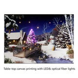 Table-top canvas picture with LED & optical fiber，best  Christmas gift